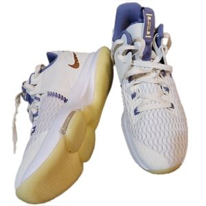 Nike | LeBron Witness V 5 | Summit White Mtlc Bronze Basketball Shoes Size 10.5